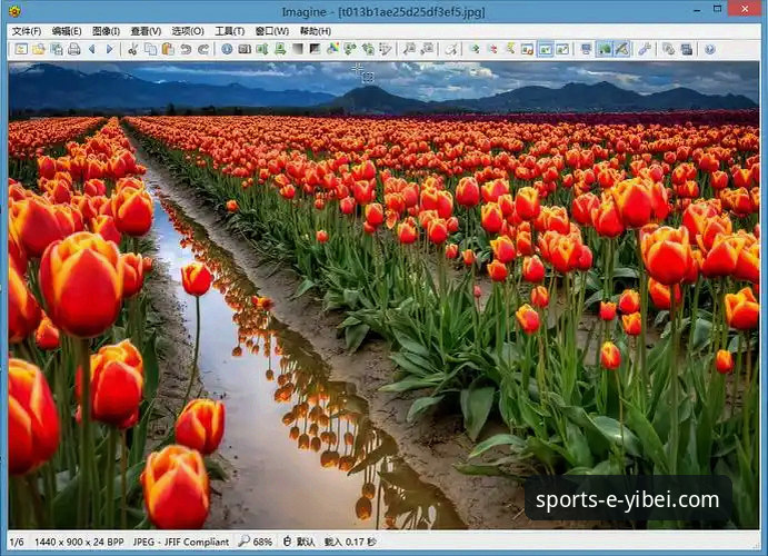 易贝体育电脑版下载与深度使用操作教程